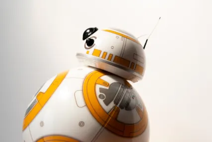 BingoFling Casino Application mobile